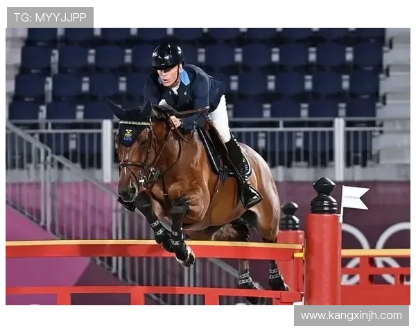 丹麦与葡萄牙激战正酣网易独家解析精彩赛事瞬间