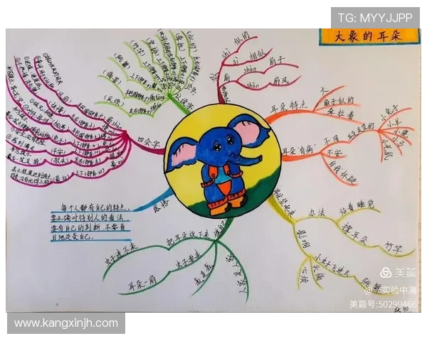 杭州篮球队意识对比深度解析：战术思维与团队协作的较量